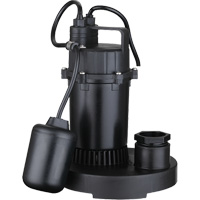 Pompe de puisard submersible thermoplastique, 2560 gal./h, 115 V, 4,6 A, 1/3 CV Cantin et fils