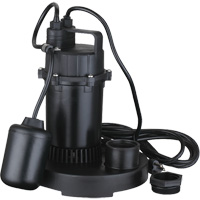 Pompe de puisard submersible thermoplastique, 2560 gal./h, 115 V, 4,6 A, 1/3 CV Cantin et fils