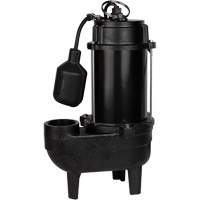 Pompe d'&eacute;gout en fonte, 120 V, 9,5 A, 6000 gal./h, 1/2 CV Cantin et fils