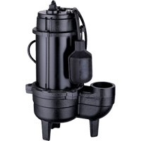 Pompe d'&eacute;gout en fonte, 120 V, 9,5 A, 6000 gal./h, 1/2 CV Cantin et fils