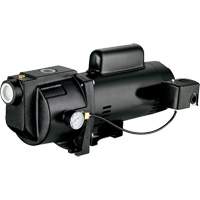 Pompe &agrave; jet en fonte &agrave; double tension pour puit peu profond, 115 V/230 V, 1260 gal./h, 1 CV Cantin et fils
