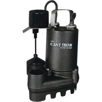 Pompe de puisard submersible en fonte avec interrupteur &agrave; flotteur vertical, 67 gal./min, 33 V, 5 A, 1/3 CV Cantin et fils