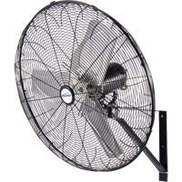 Waterproof Motor Misting & Oscillating Pedestal Fan, Industrial, 3 Speed, 30" Diameter Cantin et fils