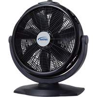 Turbo Fan, Commercial, 3 Speed, 20" Diameter Cantin et fils