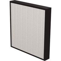 AeraMax&reg; Pro AM3 & AM4 2" True HEPA Filter, Box, 13.75" W x 2.25" D x 14.38" H Cantin et fils