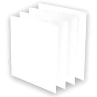 AeraMax&reg; Pro AM3 or AM4 Pre-Filters, 13.75" W x 0.13" D x 14.38" H Cantin et fils