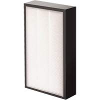 AeraMax&reg; Pro AM2 1-3/4" True HEPA Filter, Box, 7.38" W x 1.88" D x 12.88" H Cantin et fils