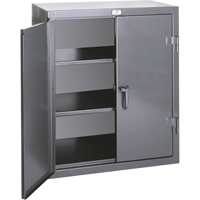 Armoires de rangement hauteur comptoir, Acier, 2 Tablettes, 36" h x 24" la x 20" P, Gris Cantin et fils
