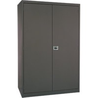 Armoires de rangement Hi-Boy profondes, Acier, 4 Tablettes, 72" h x 36" la x 24" P, Charbon Cantin et fils