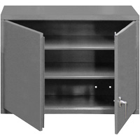 Armoire murale, 27" h x 29-7/8" la x 13-11/16" p, 2 tablettes, Acier, Gris Cantin et fils