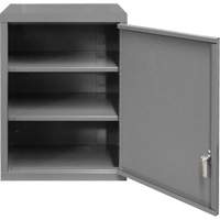 Armoire murale, 27" h x 13-11/16" la x 18" p, 2 tablettes, Acier, Gris Cantin et fils