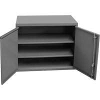 Armoire murale, 27" h x 13-11/16" la x 35-7/8" p, 2 tablettes, Acier, Gris Cantin et fils