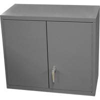 Armoire murale, 27" h x 13-11/16" la x 35-7/8" p, 2 tablettes, Acier, Gris Cantin et fils