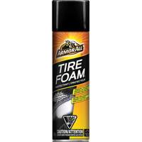Tire Foam&reg; Protectant Cantin et fils