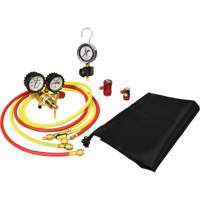 Automotive A/C Nitrogen Leak Test Kit with Regulator Cantin et fils