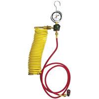 Automotive A/C Nitrogen Leak Test Kit with Regulator Cantin et fils