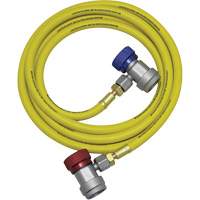 Ensemble flexible de rinçage pour syst&egrave;me de climatisation R134a Cantin et fils