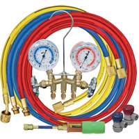 Jeu de manom&egrave;tres collecteurs avec coupleurs manuels et mini-injecteur de colorant Cantin et fils