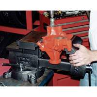 KT4800 Professional Reversible Mechanics Vise, 8" Jaw Width, 4-7/8" Throat Depth, Swivel Base Cantin et fils