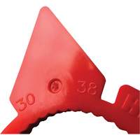 HexChex Multi-Size Loose Wheel Nut Indicator Cantin et fils
