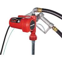 12V DC Fuel Transfer Pump with Nozzle Cantin et fils