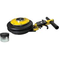 V&eacute;rin &agrave; coussin gonflable biphas&eacute; s&eacute;rie Pro, 2 tonne(s), 17" Hauteur &eacute;lev&eacute;e Cantin et fils