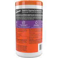 Cleaning Wipes Cantin et fils