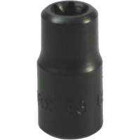 E-8 Torx&reg; Socket Cantin et fils
