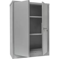 Armoire de rangement &agrave; hauteur de comptoir, Acier, 2 Tablettes, 42" h x 30" la x 15" P, Gris Cantin et fils