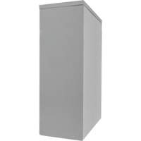 Armoire de rangement &agrave; hauteur de comptoir, Acier, 2 Tablettes, 42" h x 30" la x 15" P, Gris Cantin et fils