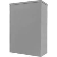 Armoire de rangement &agrave; hauteur de comptoir, Acier, 2 Tablettes, 42" h x 30" la x 15" P, Gris Cantin et fils