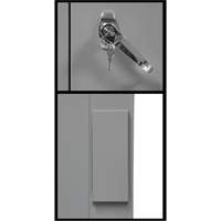 Armoire de rangement &agrave; hauteur de comptoir, Acier, 2 Tablettes, 42" h x 30" la x 15" P, Gris Cantin et fils