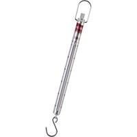 Medio Spring Scale Cantin et fils