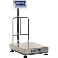 Balance &agrave; plateforme et d'&eacute;tabli Cyclone 300, Capacit&eacute; de 600 lb / 300 kg, 17-3/4" lo x 23-3/5" la Cantin et fils