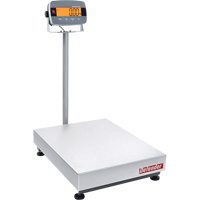 Defender 3000 i-D33 Bench  Scale, 300 lbs. Capacity Cantin et fils