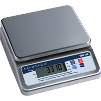 Bench Weighing Scale, 15 Kg Cap., 1 g Graduations Cantin et fils
