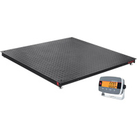 Balances de plancher Defender 3000, Capacit&eacute; de 5000 lb, 4' lo x 4' la Cantin et fils