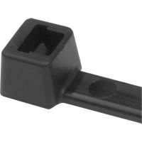 Attaches de c&acirc;ble PA66, Longueur 5-1/2", R&eacute;sistance &agrave; la traction 18 lb, Noir Cantin et fils