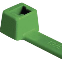 Attaches pour c&acirc;ble PA66 homologu&eacute;es UL, Longueur 4", R&eacute;sistance &agrave; la traction 18 lb, Vert Cantin et fils