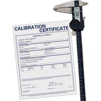 Digital Caliper with Traceable Certificate, 0.0005" (0.01 mm) Resolution, 0" - 12" (0 mm - 300 mm) Range Cantin et fils