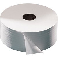 Advanced Toilet Paper, Jumbo Roll, 2 Ply, 1600' Length, White Cantin et fils