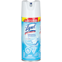 Disinfectant Spray, 350 g, Aerosol Can Cantin et fils