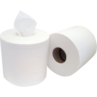 Chiffons &agrave; distribution par le centre Pro Tuff-Job, Sp&eacute;cialis&eacute;, 400' lo x 8" la Cantin et fils