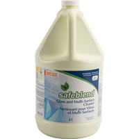 Glass & Multi-Surface Cleaner, 4 L, Jug Cantin et fils