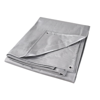 Tarp, Super Heavy-Duty, Silver, 10' x 8' x 12 mils Cantin et fils