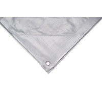 Tarp, Super Heavy-Duty, Silver, 10' x 8' x 12 mils Cantin et fils