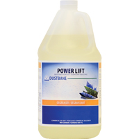 Power Lift Industrial Degreaser, 4 L, Jug Cantin et fils