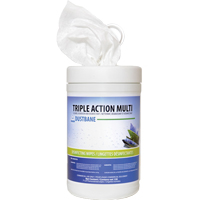 Triple Action Multi Disinfecting Wipes, 7" x 8", 120 Count Cantin et fils