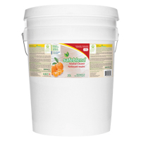 Neutral Cleaner, 20 L, Pail Cantin et fils