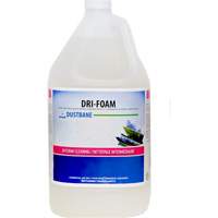 Shampooing pour tapis & meubles rembourr&eacute;s avec un appareil &agrave; brosse rotative Dri-Foam, 5 L, Cruche Cantin et fils